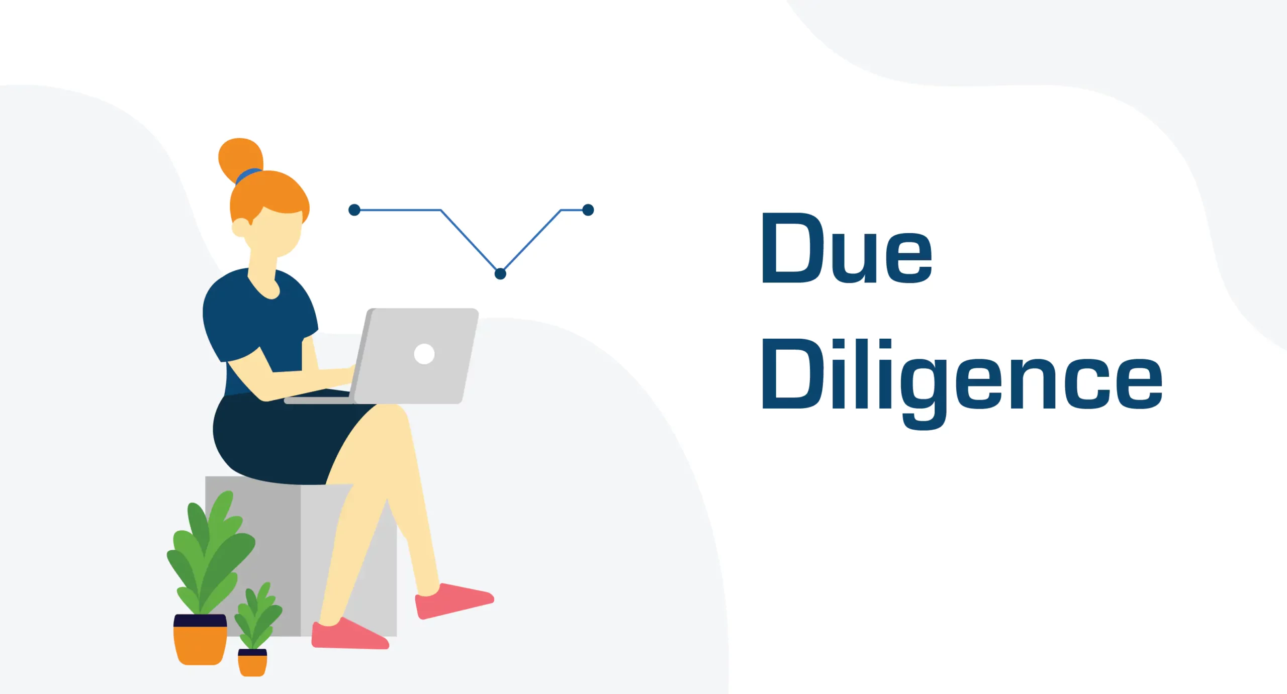 Due Dilligence